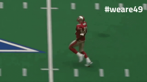 We Are49 Rannfl GIF - We Are49 Rannfl Deal With It GIFs