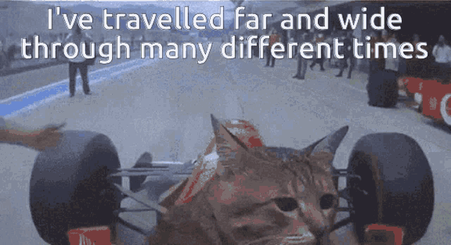 Cat Joy Division GIF - Cat Joy Division Travel GIFs
