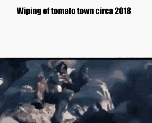 a screen shot of a crowd with the caption wiping of tomato town circa 2018