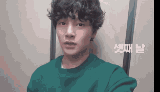 a young man with curly hair is wearing a green shirt