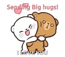 a couple of teddy bears hugging each other .