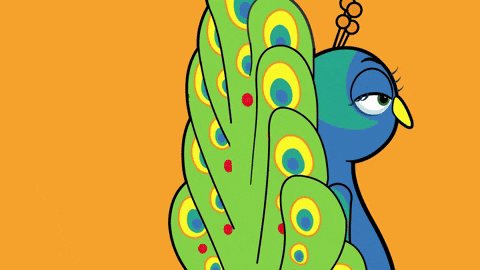 a cartoon peacock giving a thumbs up on an orange and black background
