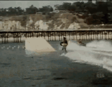 Happy Days Jumps The Shark... Literally! GIF - Happy Days Jump Extreme GIFs