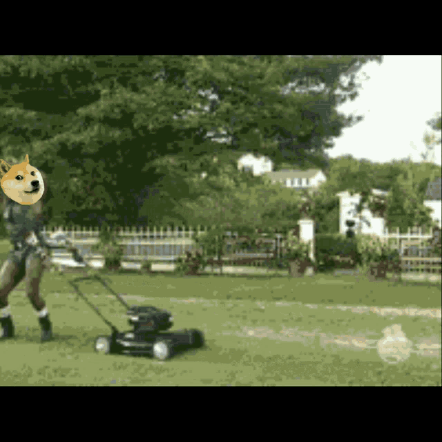 Doge Mowing GIF - Doge Mowing GIFs