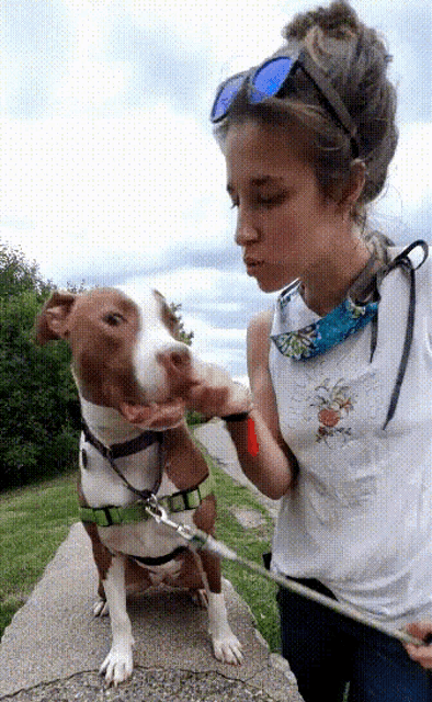 a woman is petting a brown and white dog while wearing sunglasses