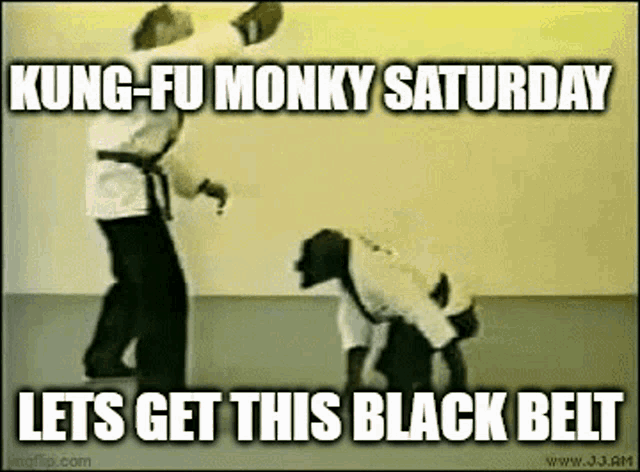 Monkey GIF - Monkey Monke GIFs