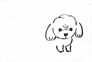 a black and white drawing of a small white poodle .