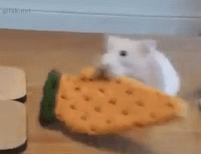 Hamster Snatch Food GIF - Hamster Snatch Food Carrot GIFs