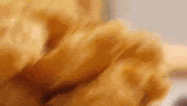 a close up of a person 's hand holding a piece of bread