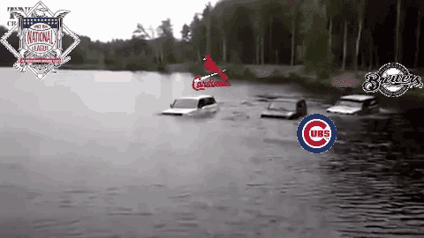 a national league logo is on the bottom of a picture of a lake