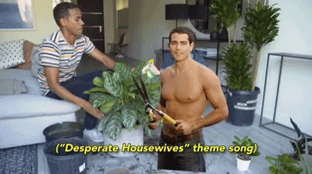 Desperate Housewives Theme Song Gardening GIF - Desperate Housewives Theme Song Gardening Gardener GIFs
