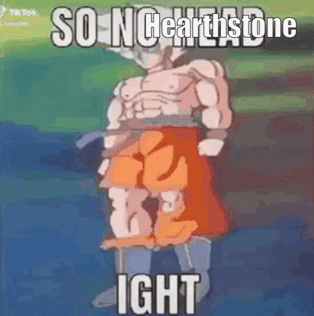 a cartoon character is standing in front of a green background with the words `` so no heartstone ight '' .