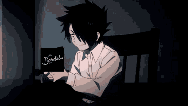 a boy is reading a book titled the bardel
