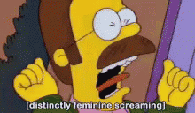 The Simpsons Ned Flanders GIF - The Simpsons Ned Flanders Feminine Screaming GIFs