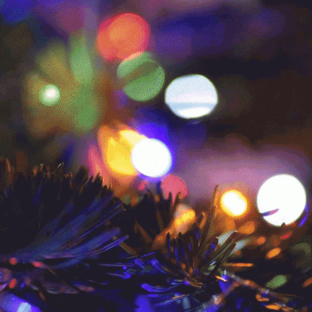 Bex Feliz Navidad GIF - Bex Feliz Navidad Navidad GIFs