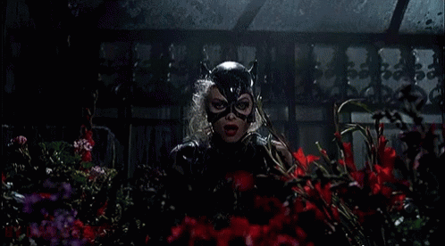 Catwoman Batman GIF - Catwoman Batman Christmas GIFs