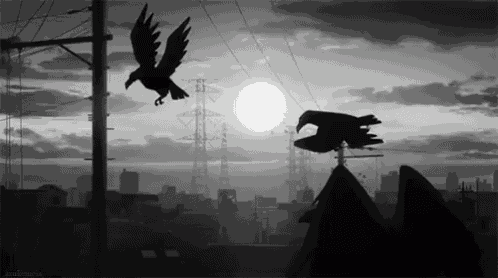 a black and white photo of birds flying in the sky