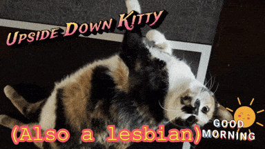 a cat laying on its back with the words upside down kitty