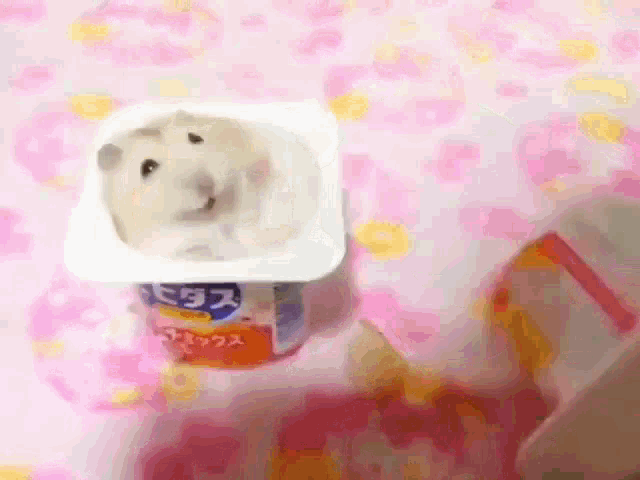 Hampter Yogurt Slap GIF - Hampter Yogurt Slap GIFs