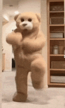 a teddy bear is standing in front of a bookshelf