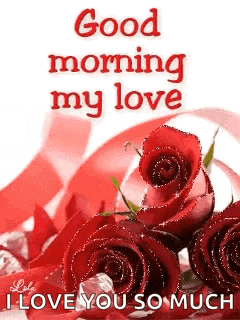 a good morning my love i love you so much greeting card with red roses and ribbon