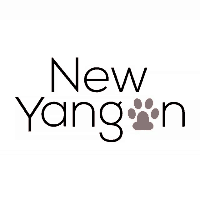 New Yangon Foundation Nyf GIF