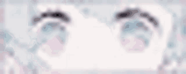 a close up of a girl 's eyes with a white background .