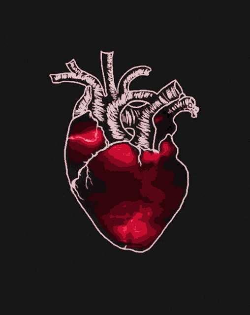 a drawing of a human heart with a lightning bolt in it