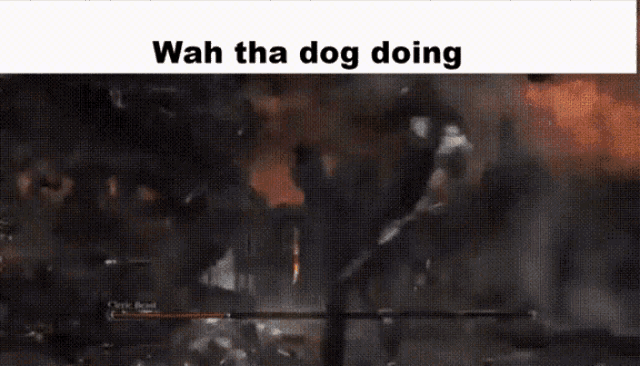 a screenshot of a video game with the words wah tha dog doing