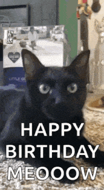 a black cat is laying on the floor with the words `` happy birthday meooow '' written on it .
