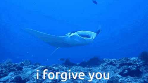 I Forgive You Love GIF - I Forgive You Forgive Love GIFs