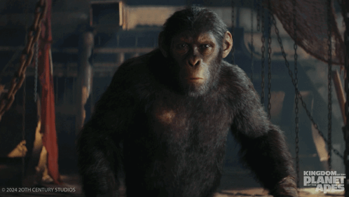 Coming Forward Noa GIF - Coming Forward Noa Kingdom Of The Planet Of The Apes GIFs