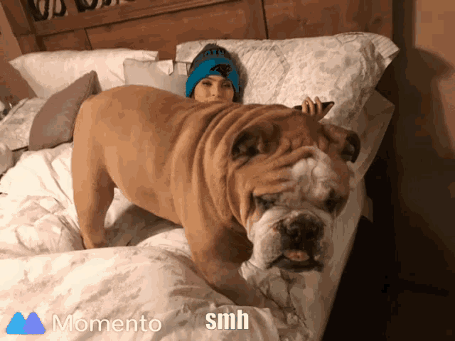 a person laying on a bed next to a dog with the words momento smm on the bottom