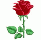 Rose Petals GIF - Rose Petals Wither GIFs