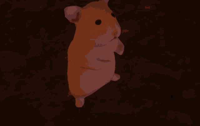 Hamster Disappear GIF - Hamster Disappear Leave GIFs