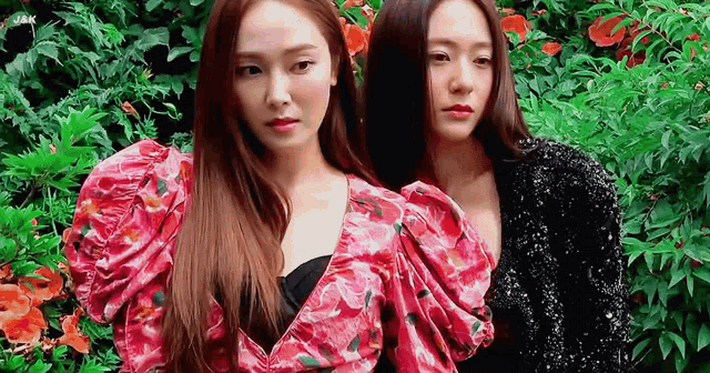 two young women are standing next to each other in front of a bush .