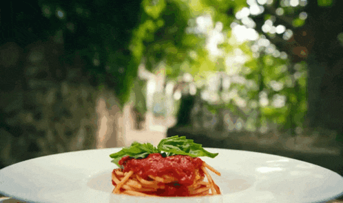 a plate of spaghetti with sauce and basil on top