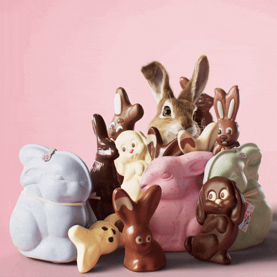 a bunch of chocolate bunny figurines sitting on a pink surface