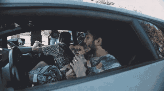a man in a car holds a small dog in his lap