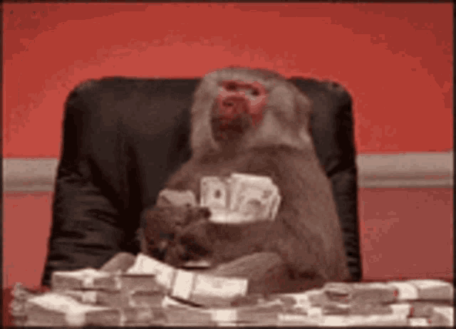 Money Rich GIF - Money Rich Monkey GIFs