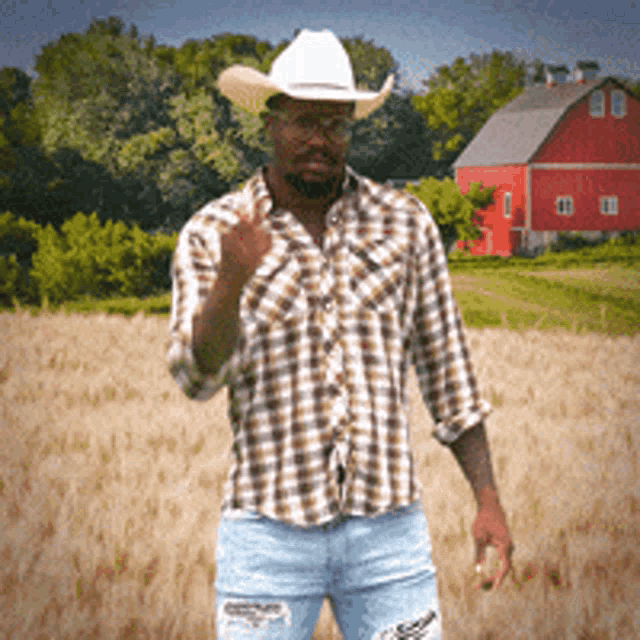 a man wearing a cowboy hat and plaid shirt is giving the middle finger