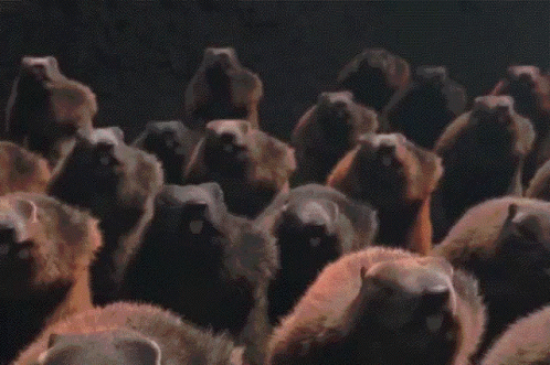 Army Groundhogs GIF - Army Groundhogs Insurrection GIFs
