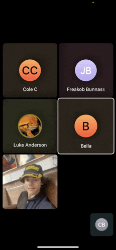 a screenshot of a video call with four people including luke anderson and bella