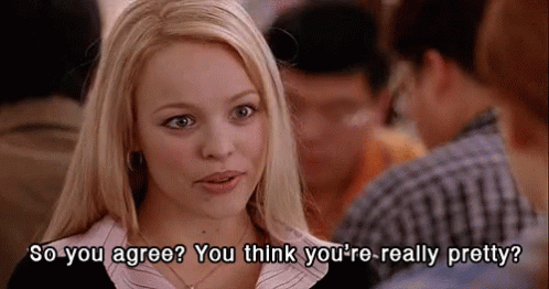 Mean Girls Reallypretty GIF - Mean Girls Reallypretty So You Agree GIFs