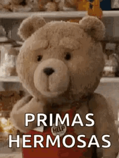 a teddy bear wearing a red apron is standing in front of a shelf and says primas hermosas .