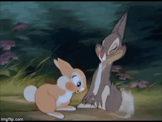 Bambi Thumper GIF - Bambi Thumper Go To Sleep GIFs