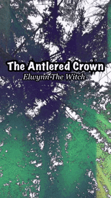 a book cover for the antlered crown