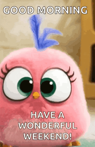 a pink bird with a blue feather on its head says good morning have a wonderful weekend !
