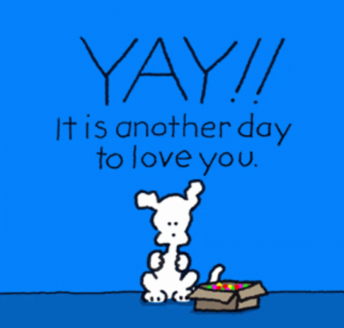 Yay Its Another Day To Love You Dog GIF - Yay Its Another Day To Love You Dog Cute GIFs