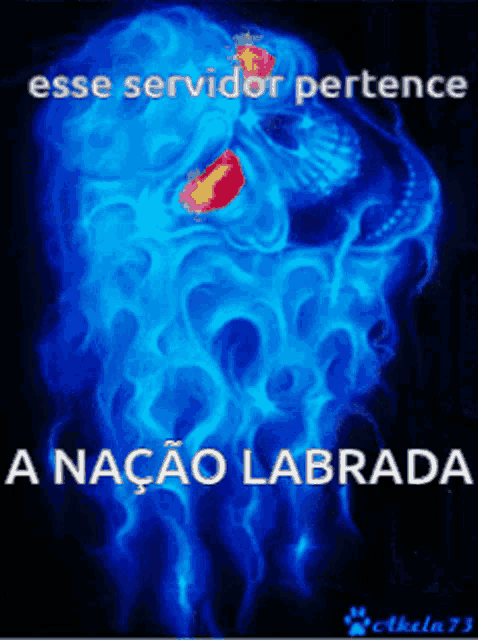 a blue background with the words esse servidor pertence a nacao labrada on it